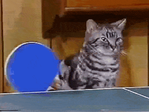 tumblr_lmppu5bTPc1qjzoxdo1_500.gif