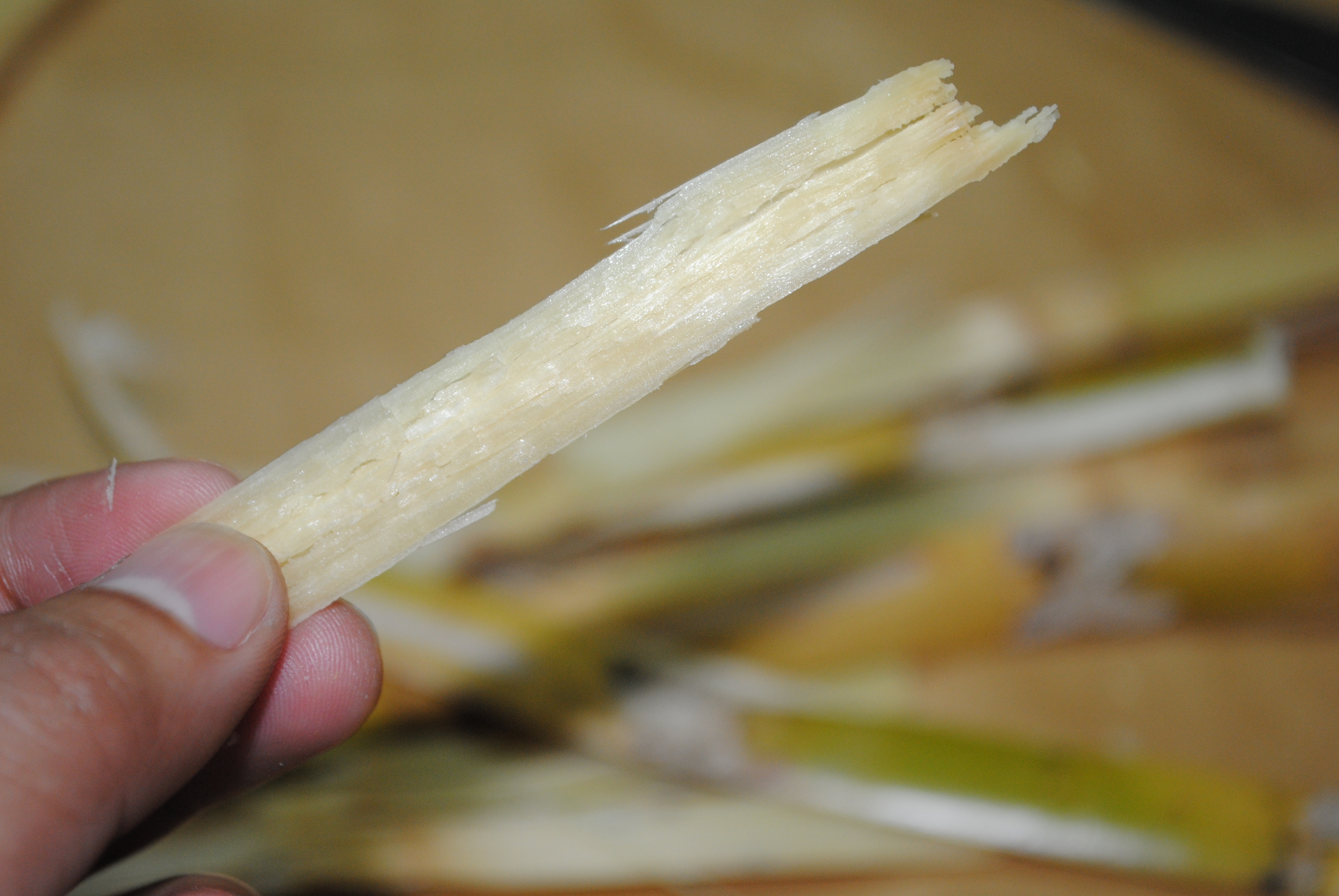 Eat-a-Sugar-Cane-Step-5.jpg