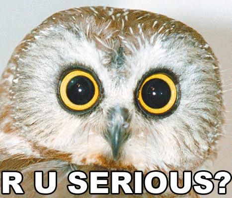 ruseriousowl.jpg