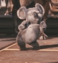 big_249685.gif