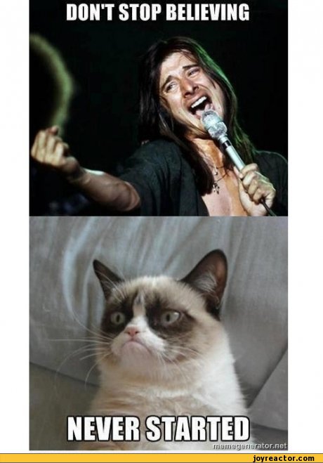 grumpy-cat-493186.jpeg