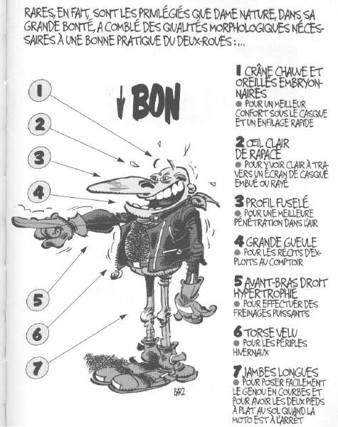 BonMotard.jpg