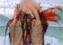 spawn_cqn.gif