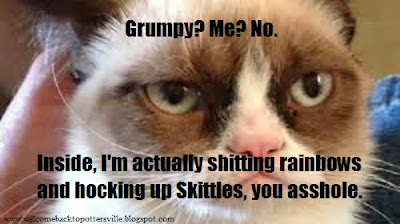 grumpycat3.jpg