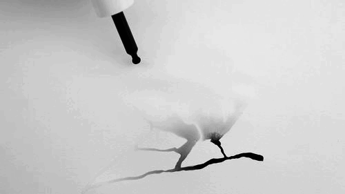 tumblr_m820i7Stza1qbbs8oo1_500.gif
