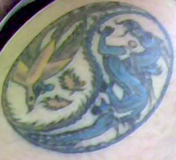 dragonphenix-1.jpg