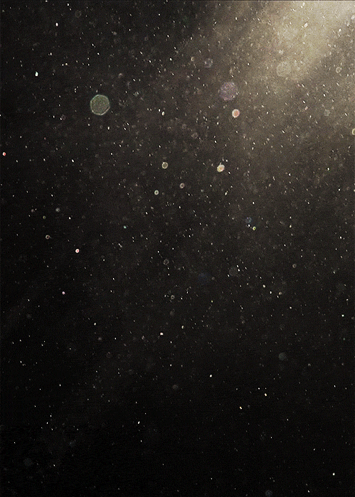tumblr_mqaso2QF8k1qzd1nwo1_r1_500.gif