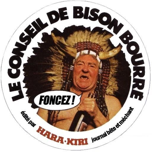 Conseil_de_Bison_Bourre.jpg
