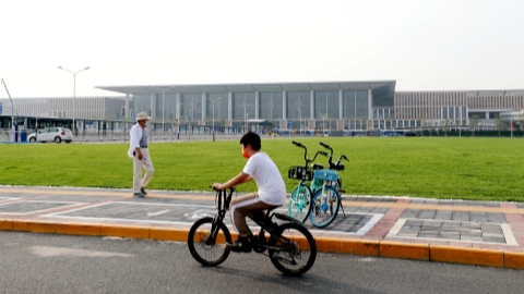 www.shine.cn