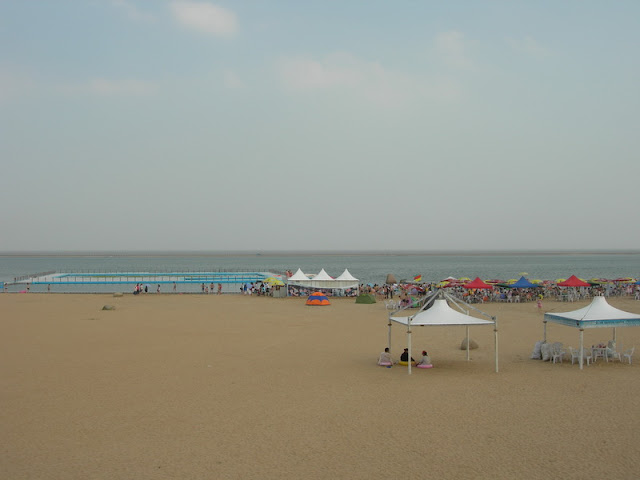 DSCN4793.JPG