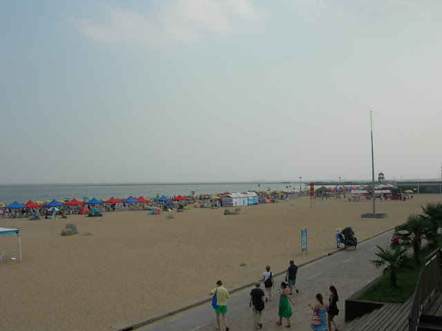 DSCN4794.JPG