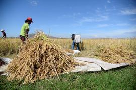 eng.yidaiyilu.gov.cn