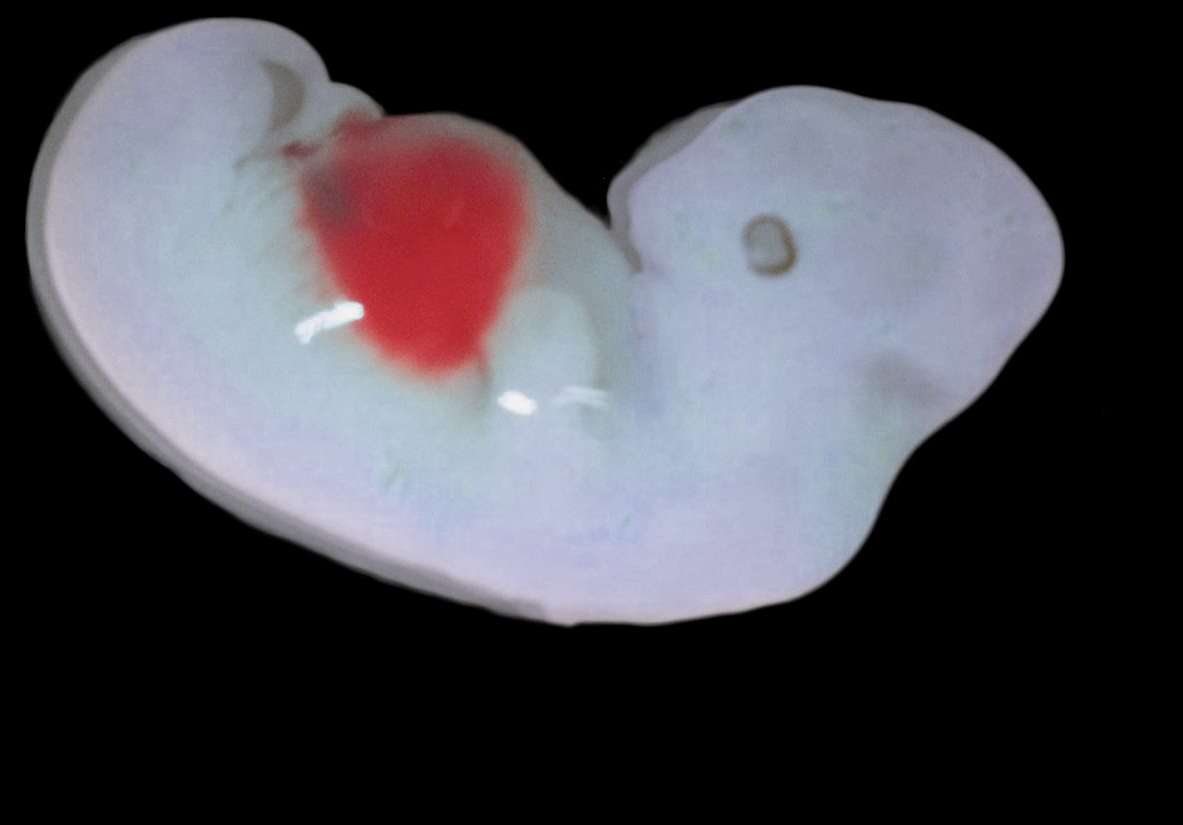 www.science-et-vie.com