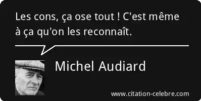 citation-michel-audiard-45695.png