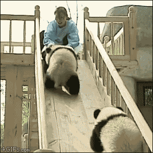 Pandas-play-slide-flip.gif