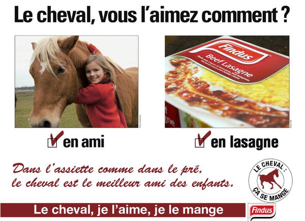 findus-cheval-lasagne-humour.jpg