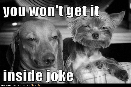 funny-dog-pictures-you-wont-get-it-inside-joke.jpeg