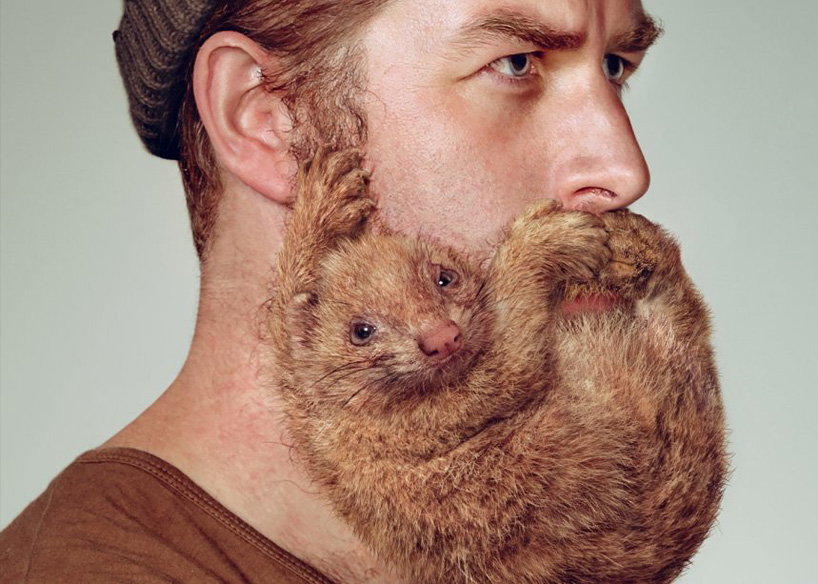 schick-free-your-skin-animal-beards-designboom-01.jpg