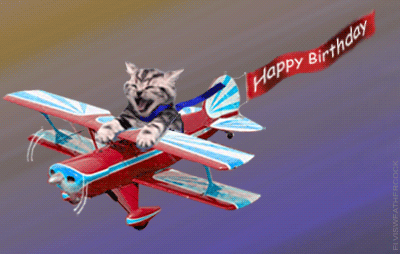birthday-pilotcat%20%281%29.gif