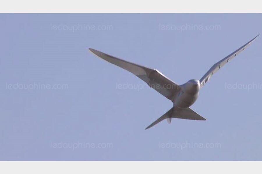 un-modele-de-drones-oiseaux-developpe-en-europe-rappelant-ceux-utilises-en-chine-capture-youtube-1529952854.jpg